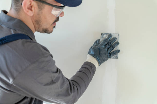 Best Ceiling Painting Services  in Longbranch, WA